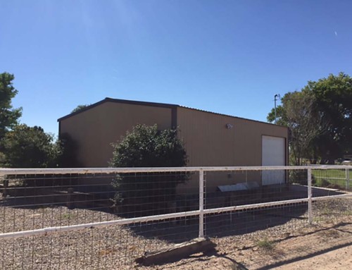 Tan w/ Brown Trim Standard